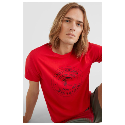 O'neill Ανδρική κοντομάνικη μπλούζα Explore T-Shirt